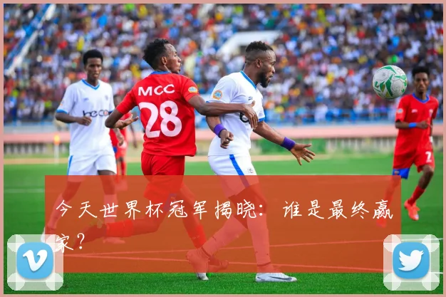 今天世界杯冠军揭晓：谁是最终赢家？