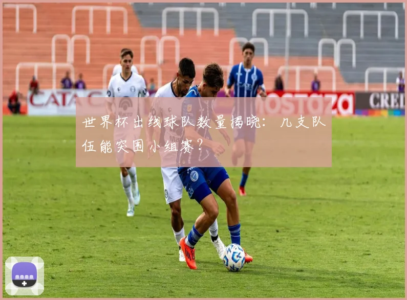 世界杯出线球队数量揭晓：几支队伍能突围小组赛？